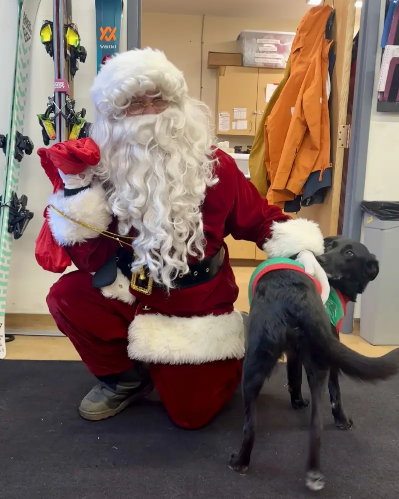 Slopestory founder Chad dressed as Santa in the ski shop with a dog